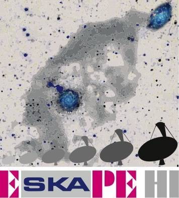 PRIN SKA logotry