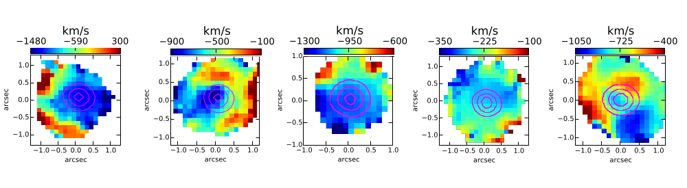 Figure1 carniani